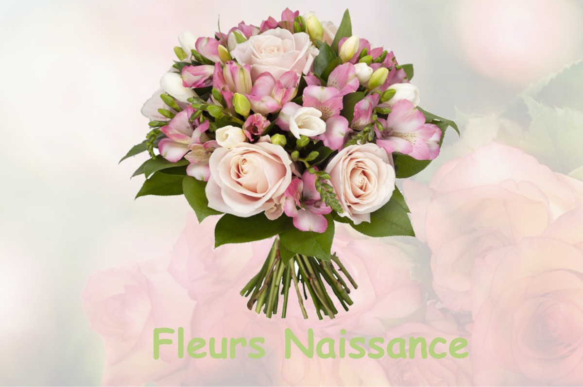 fleurs naissance MALESHERBES