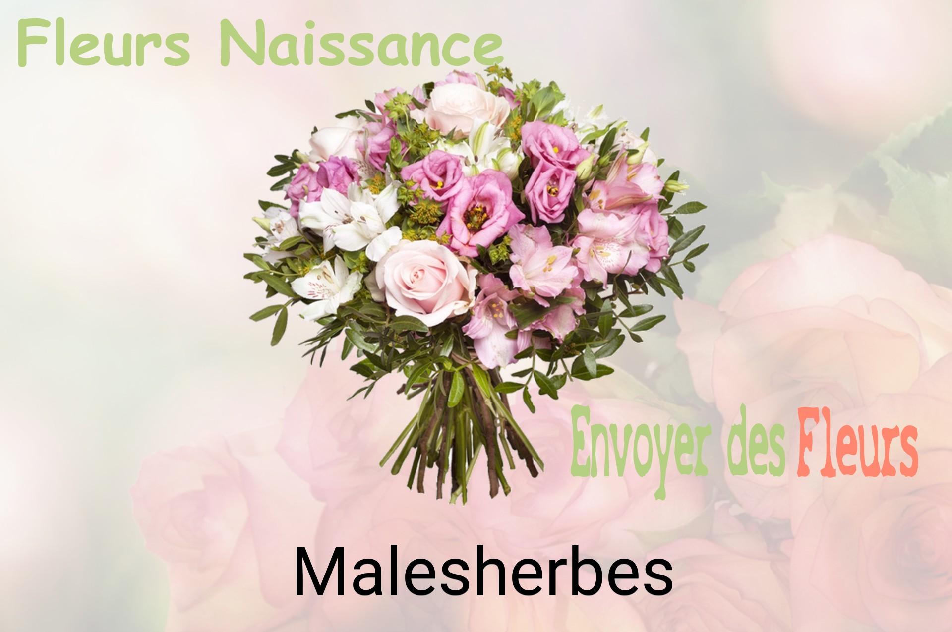 Bouquet de fleurs de naissance livré à Malesherbes