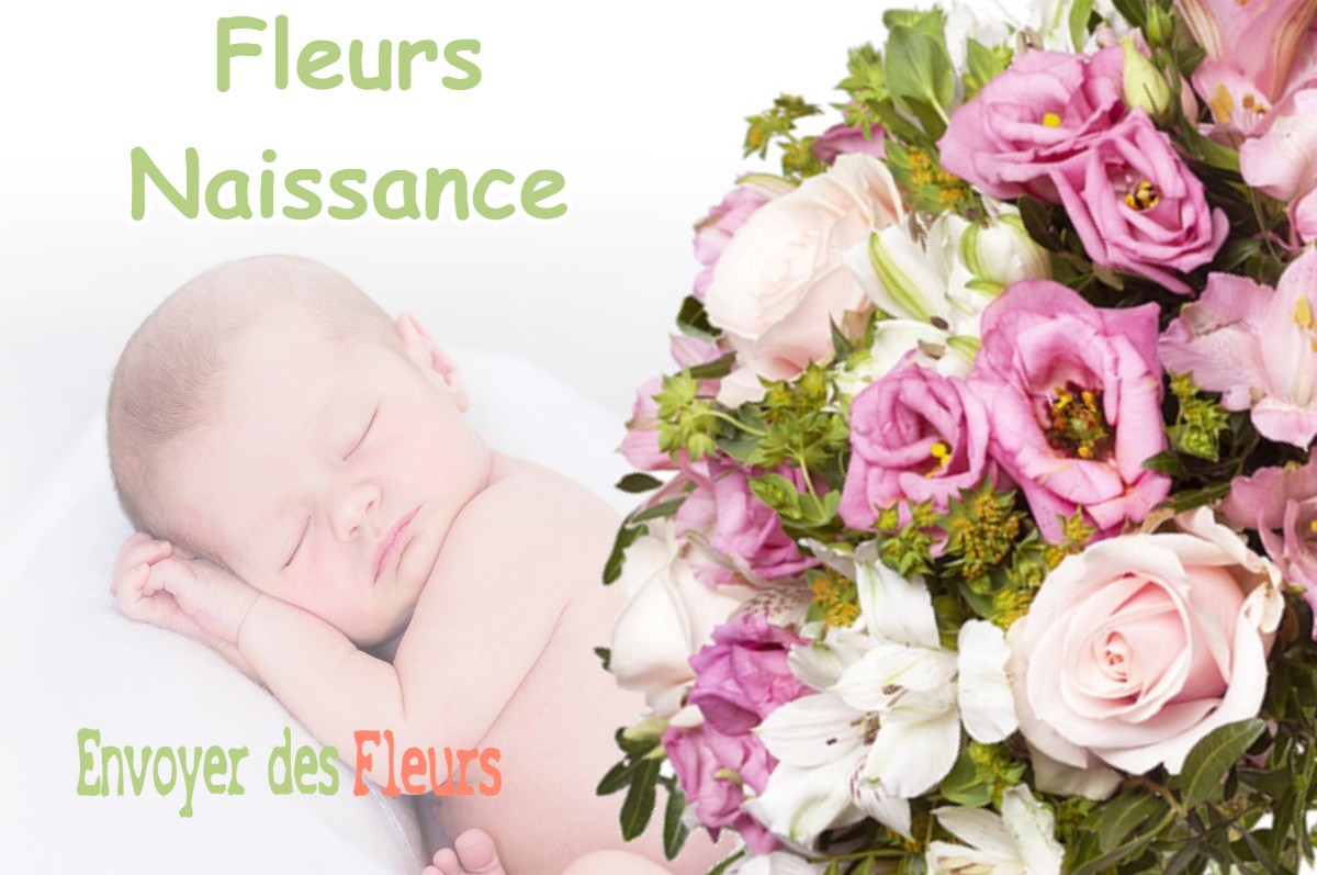 lIVRAISON FLEURS NAISSANCE à MALESHERBES